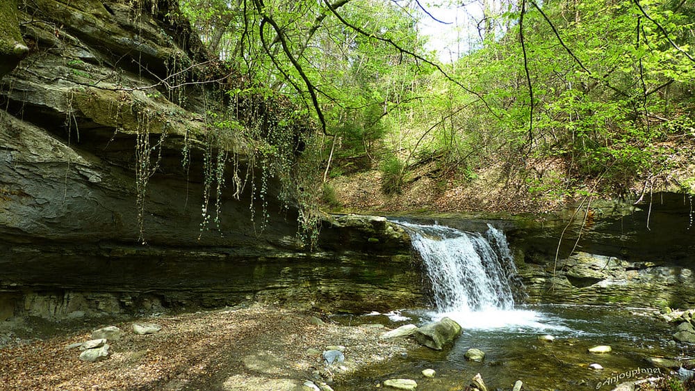 Chemin de la cascade